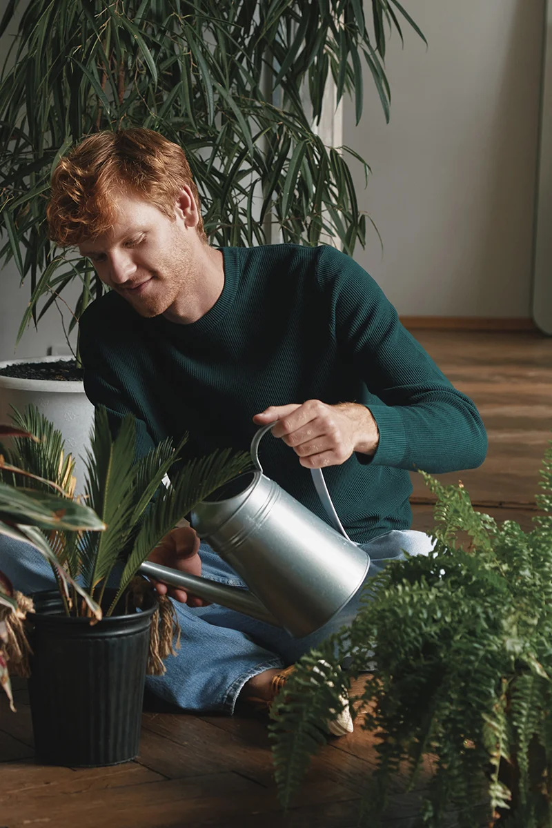 an image of a man watering plants at home Kai interiors